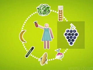 Comment nourrir tout le monde ?