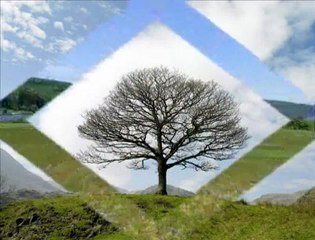 Selam imam Hatiplim Mehmet Emin Ay