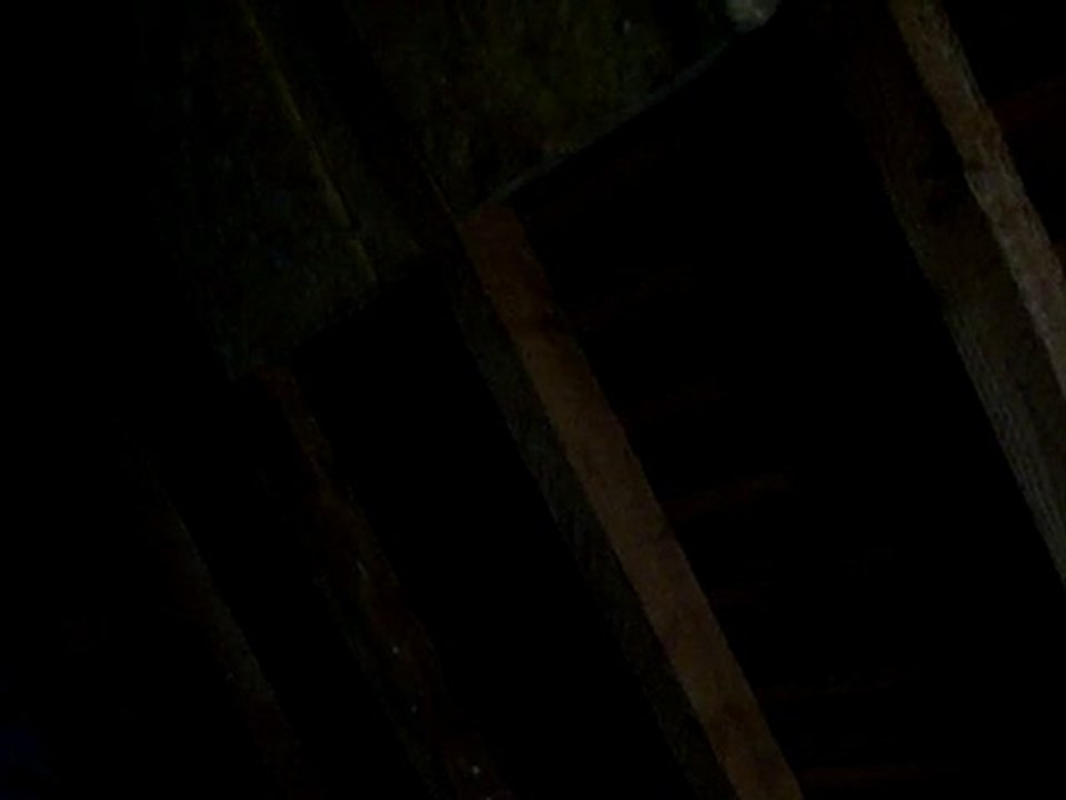 SONORITE  INTERIEURE  LORS DU CHARGEMENT DESTINE A LA CASSE