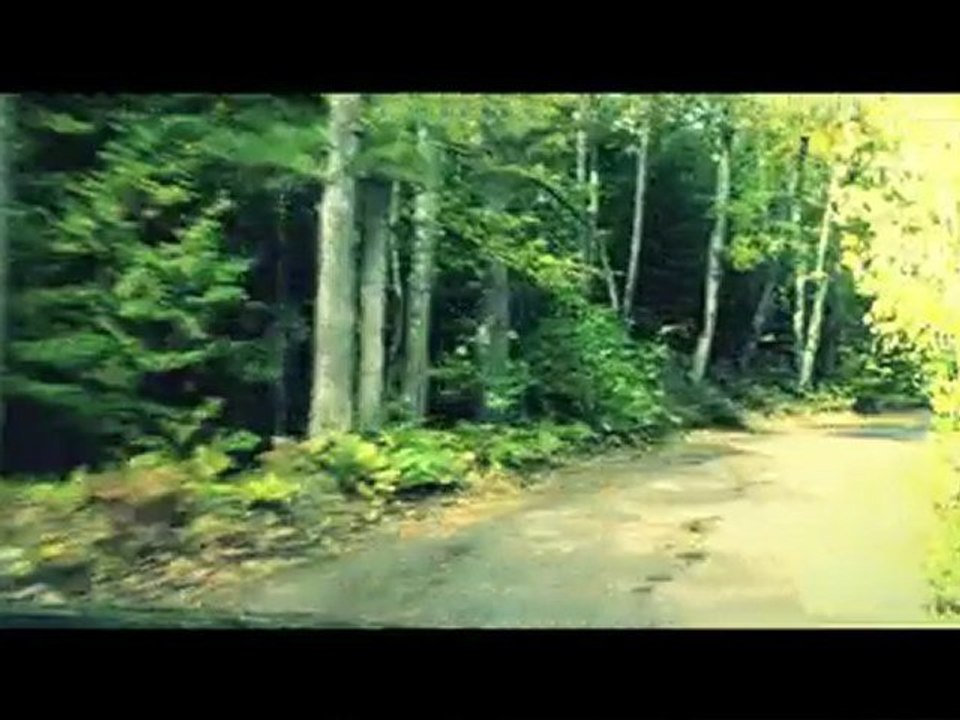 Codemasters DiRT 3 Developer Diary 1