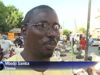 Sénégal : 500 000 moutons sacrifiés pour la Tabaski