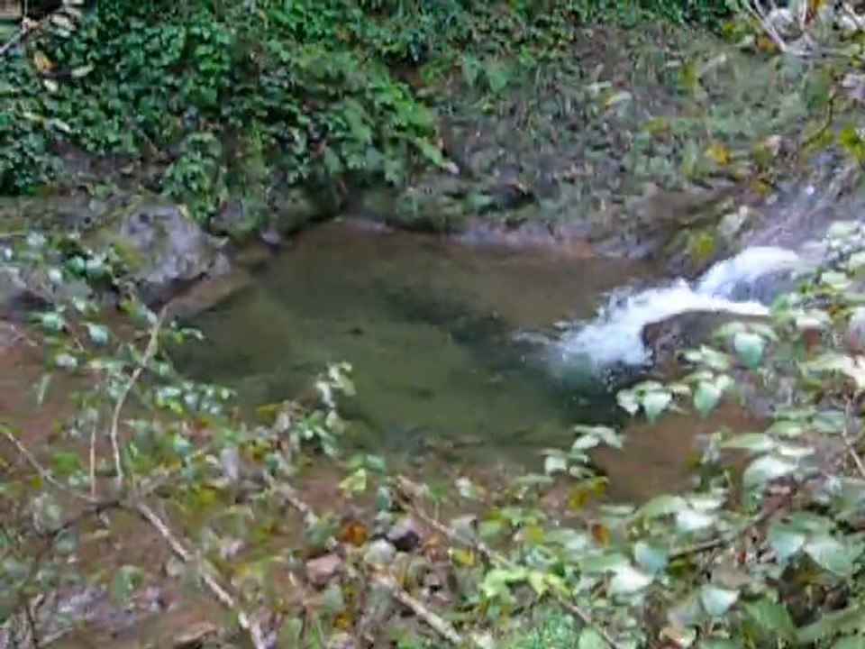 Halgobura Doğru