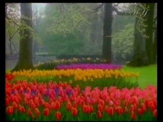 Le Prophète Mohammad (pbsl) était doux et courtois