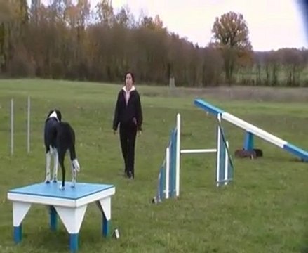 démonstration d'agility snoopy malhoreau vidéo 4