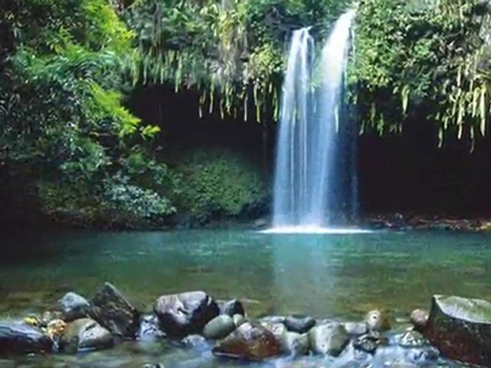 Fantastic Destination in Maui