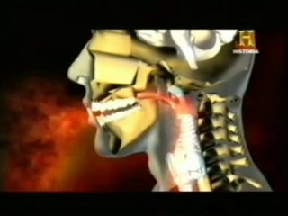 La Inquisicion: Morir en la hoguera