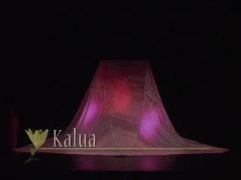 kauhane2004