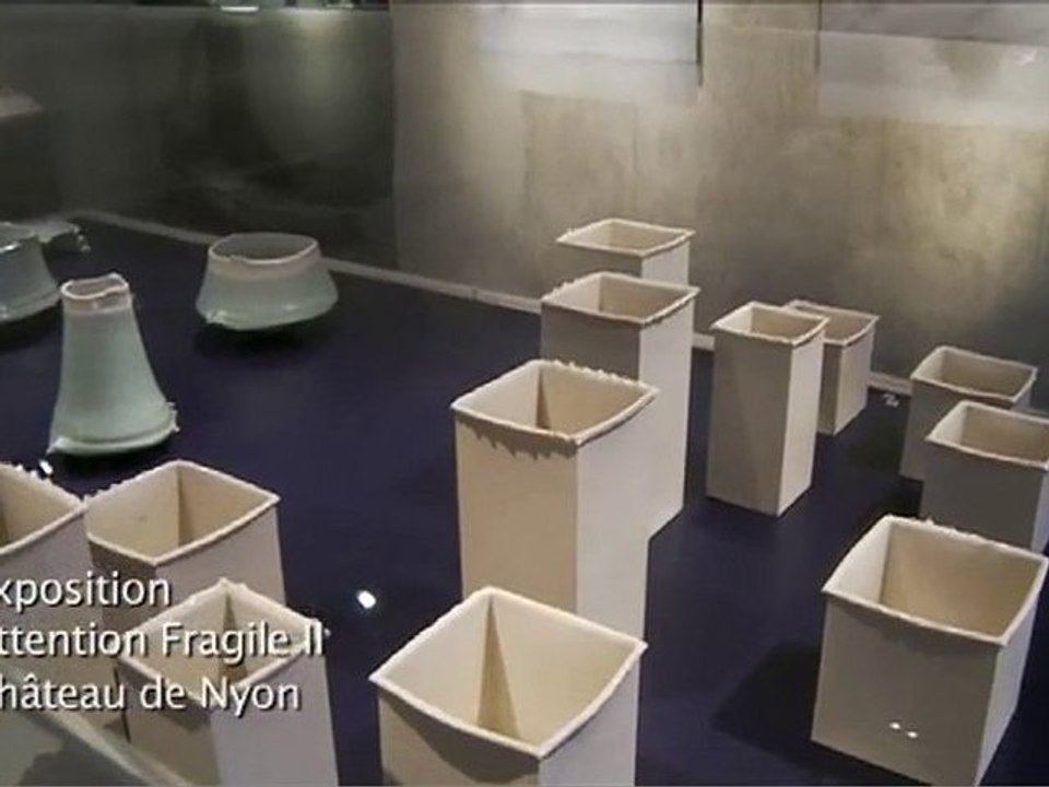 LA CAMERA EN BALADE - Exposition au château de Nyon