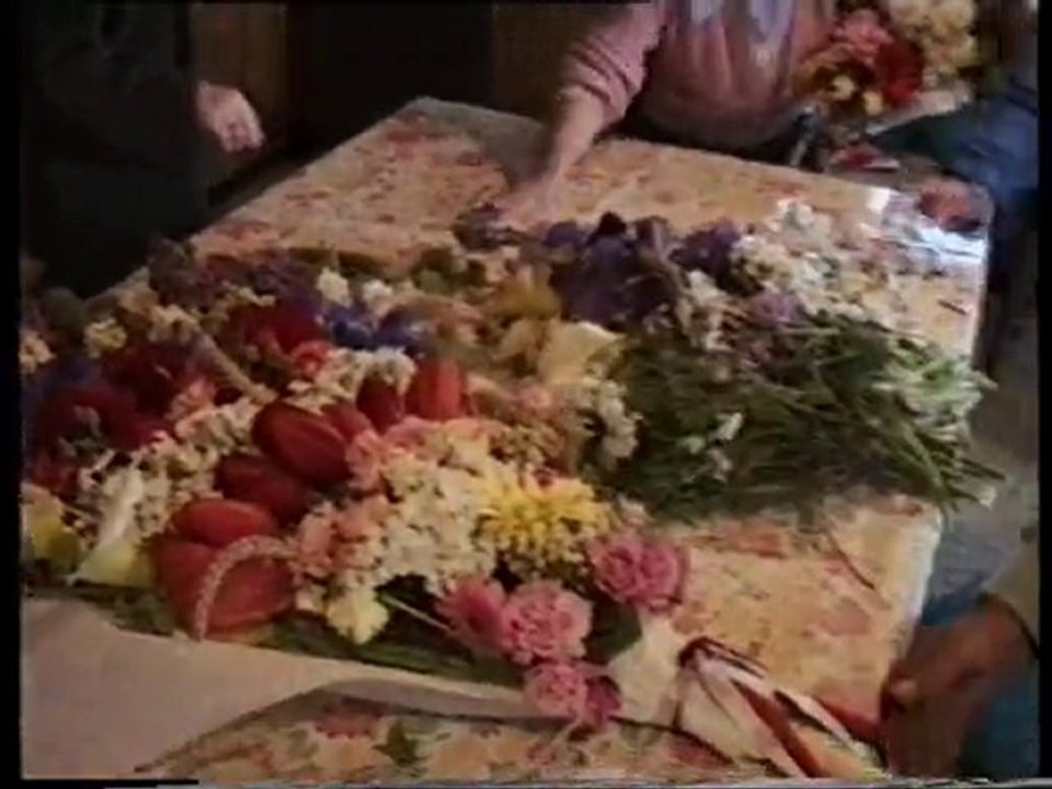 1er mai 1996 à BREM-SUR-MER (85) -1