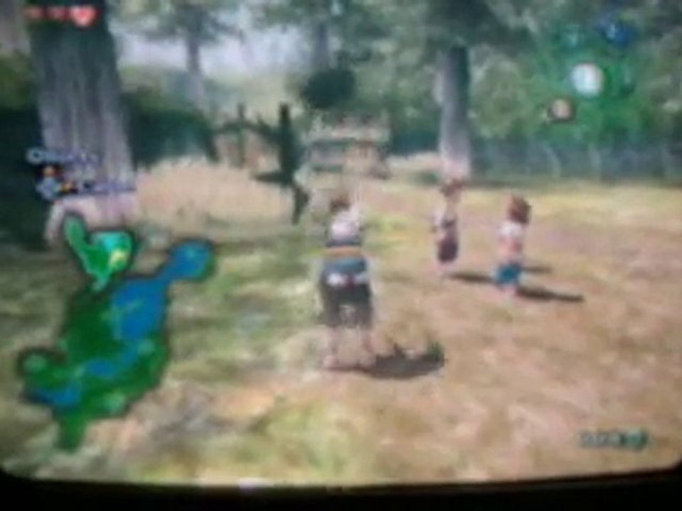 Zelda:Twilight Princess (Gamecube/ Wii)