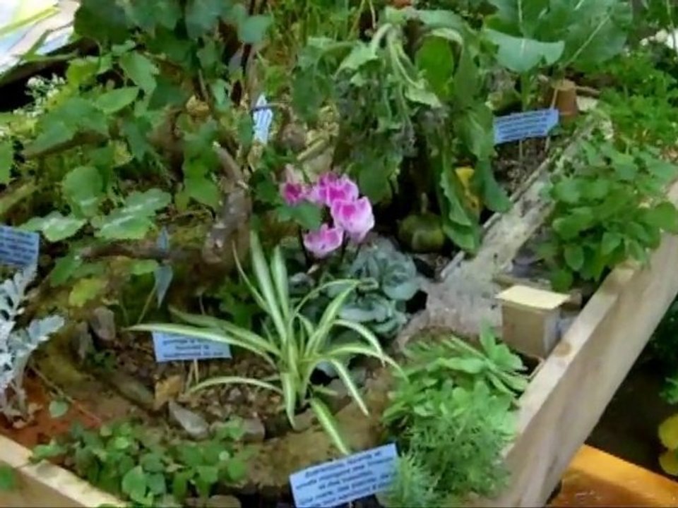 Humus 44 : quand écologie et humour font bon ménage