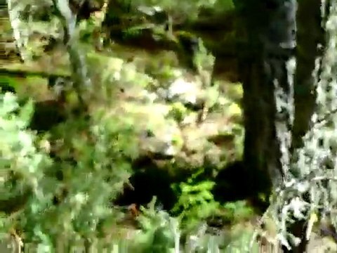 Sortie du 17 Novembre 2010 rapproché & lancé