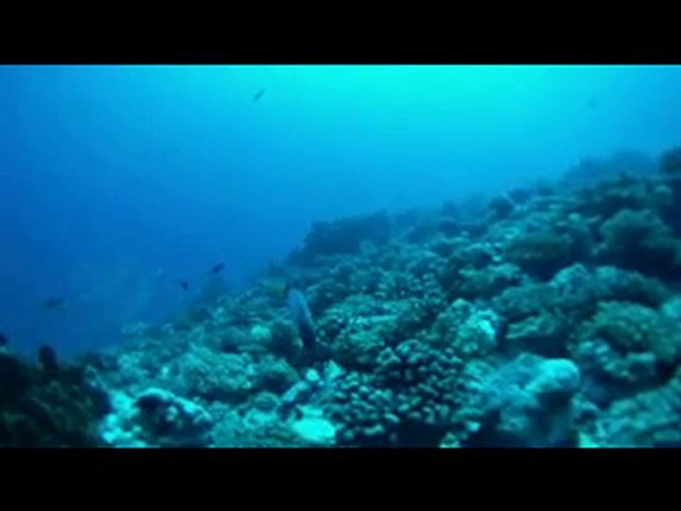 Grand bleu à Rangiroa