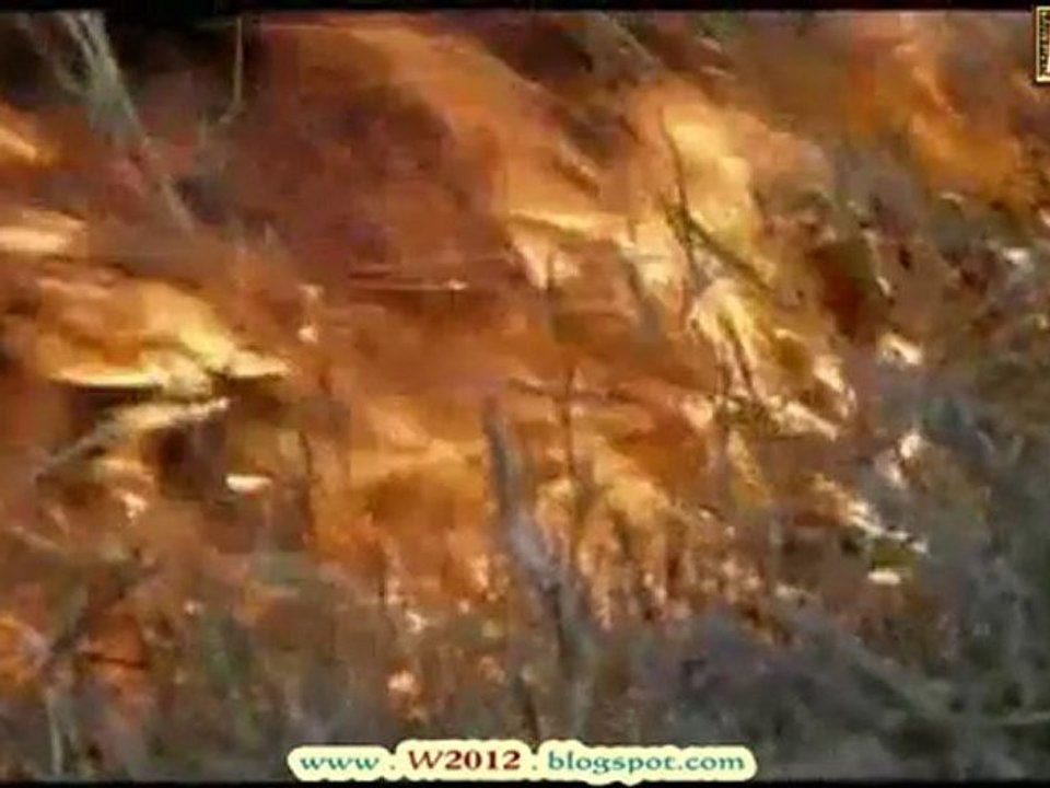 LA VIDA DENTRO DE 5 MILLONES DE AÑOS 3/5