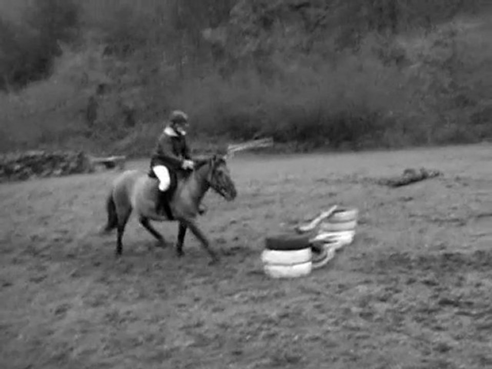 && Une journée de plus avec vous à cheval ! ♥