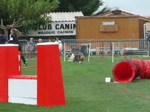 Baxter 3ème degrè Mauguio 2010