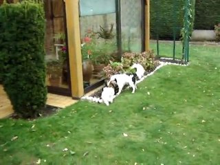 Course poursuite Tommy et Fidji