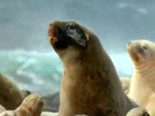 Monsters We Met 1Of 3 - The End Of Eden (1/5)