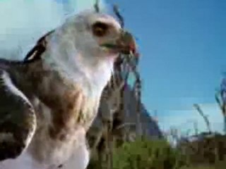 Monsters We Met 1Of 3 - The End Of Eden (2/5)