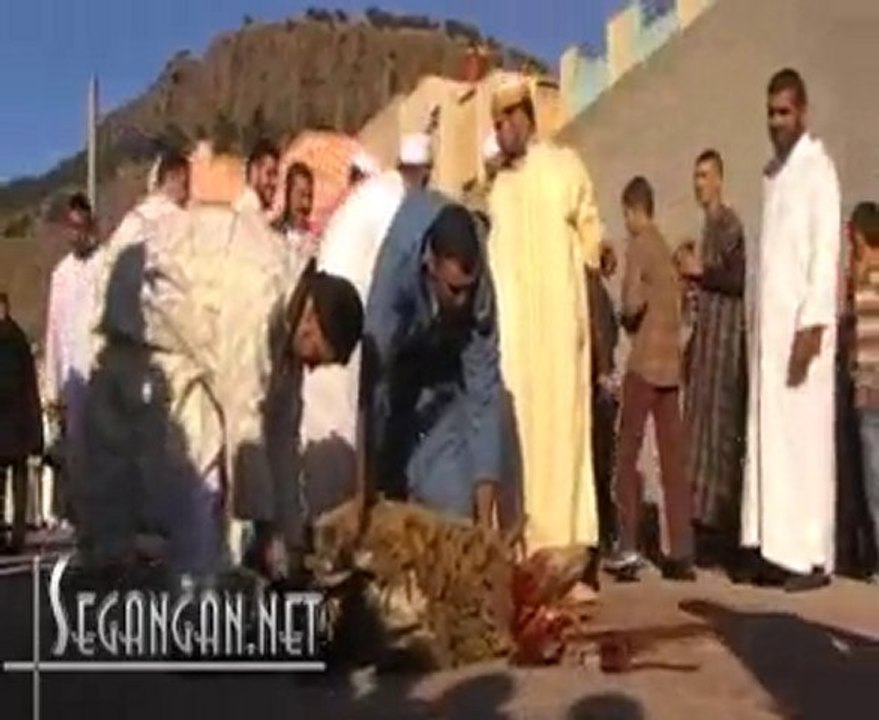 نحر الأضحية من طرف الإمــــام