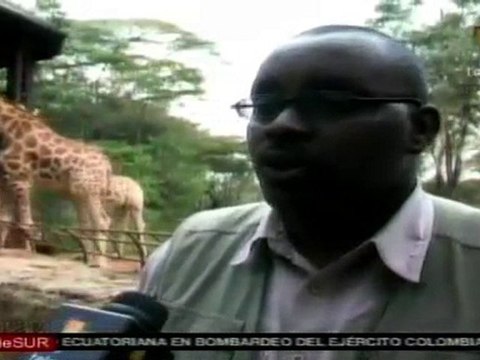 Contaminación de ciudades afecta a la vida salvaje de Kenia