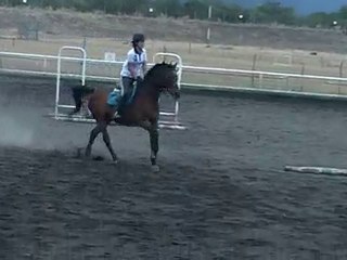 17.11.10 - cours obstacle - Gavroche saute la bouche pleine