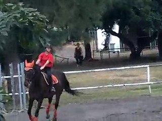 17.11.10 - cours obstacle - SavannahSham1