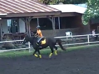 17.11.10 - cours obstacle - CélineOlbie1
