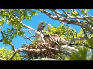 Tourisme et randonnée à Anaa et Kaukura aux Tuamotu