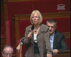 Henriette MARTINEZ - Article 88 du PLF2011