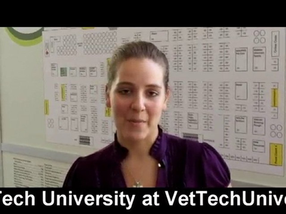 Online Vet Tech Schools | Online Veterinary Technician Prog