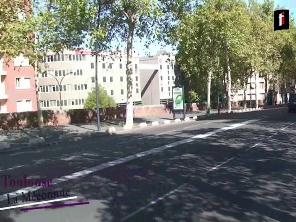 Saint Pierre et catalans : les ponts de Toulouse