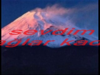 barış torun. daha ölmedim peşindeyim