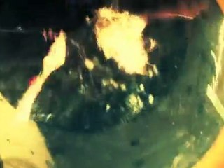 Smash Hit Combo - Persevere Music Video ( Official )