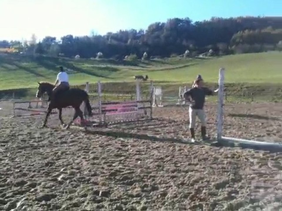 l'exo novembre 2010 011