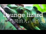 每日一句學英文- Lounge lizard