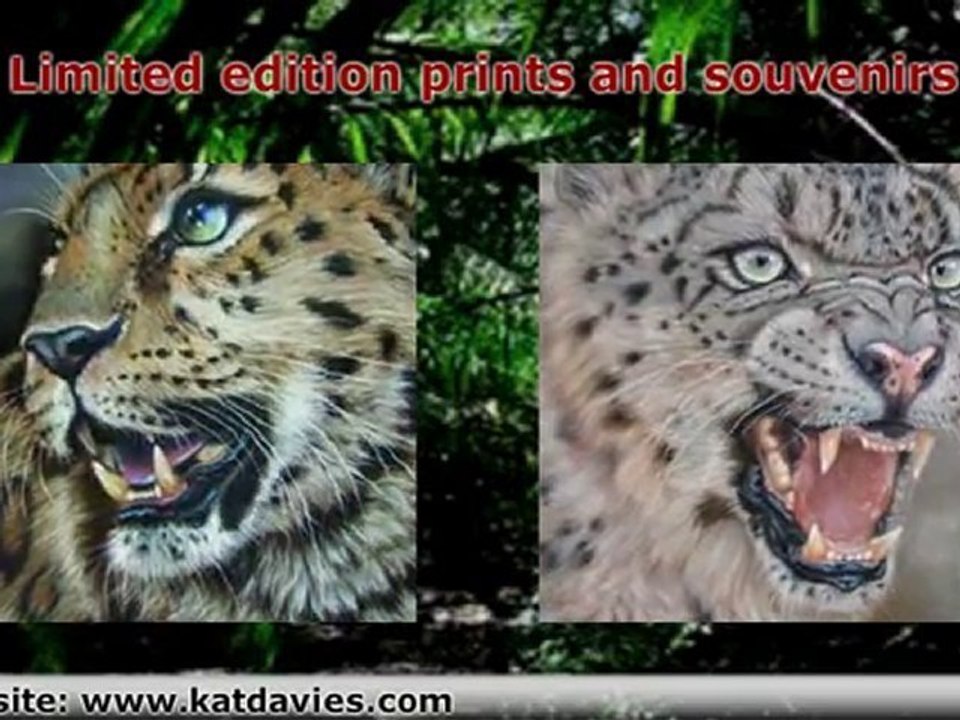 Tiger Art by Kat Davies
