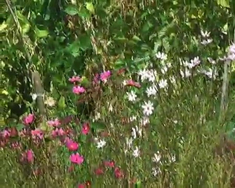 2010 GİRESUN ÇAMOLUK  KUTLUCA'DA RAMAZAN BAYRAMI 34. BÖLÜM