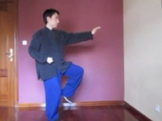 Tai chi principiantes-Golpe de puño-tai chi kung-