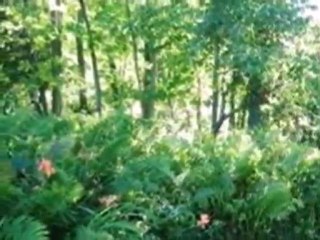 Homes for Sale - 7140  Sauk Trail Beach - Belgium, WI 53004