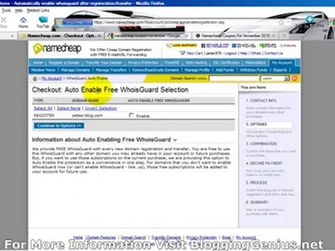 Wordpress Tutorial-Choosing Your Domain Name