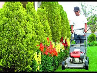 Jardineria - Jardineria Curso - Curso Jardineria