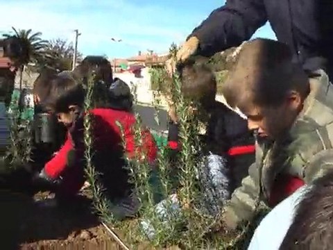 plantations écoliers rue leon blum 1