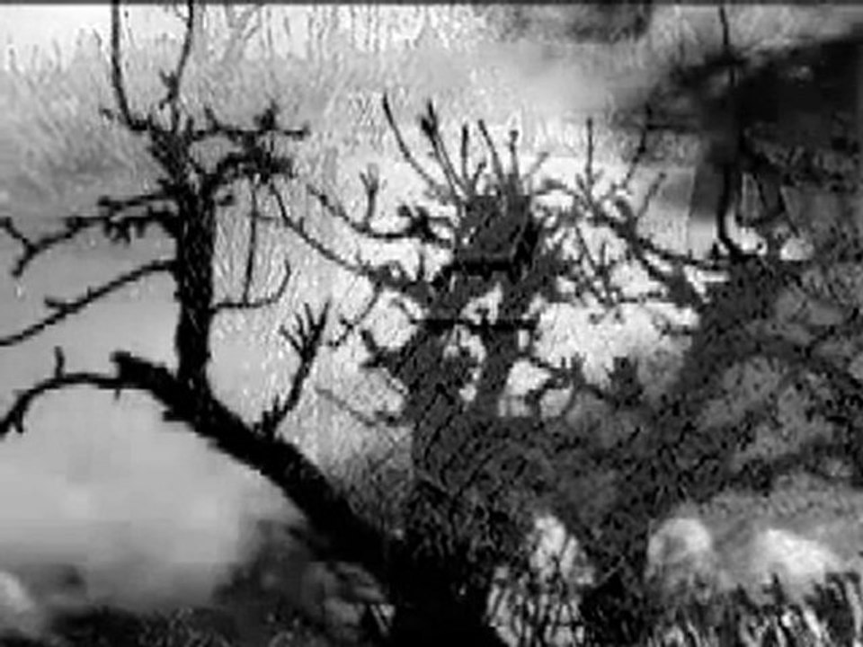 Aşk her şeye değer