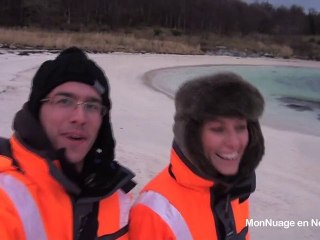 Norvège : île de Senja, rennes et phoques