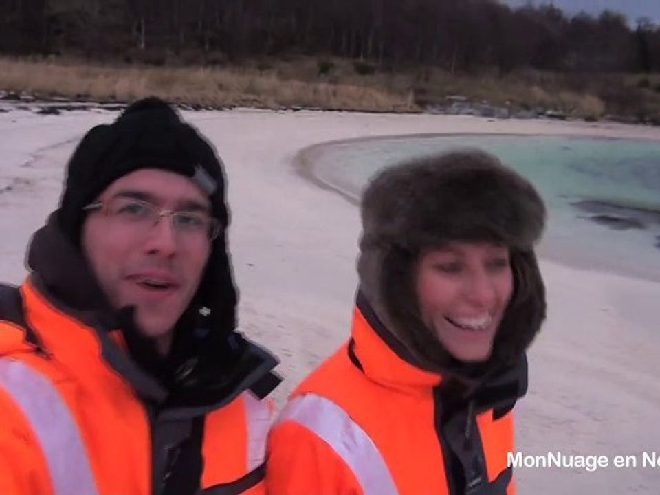 Norvège : île de Senja, rennes et phoques