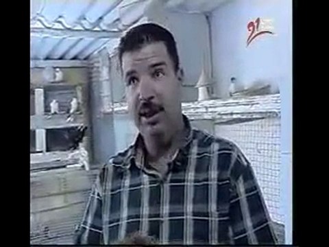 süs kuşları üretim video guvercinrehberi.com