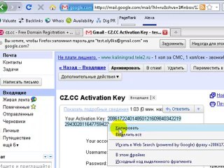 Регистрация домена .cz.cc