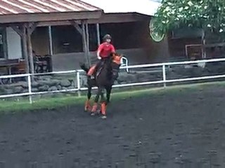 17.11.10 - cours obstacle - SavannahSham2