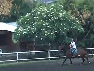 17.11.10 - cours obstacle - MargauxGavroche2